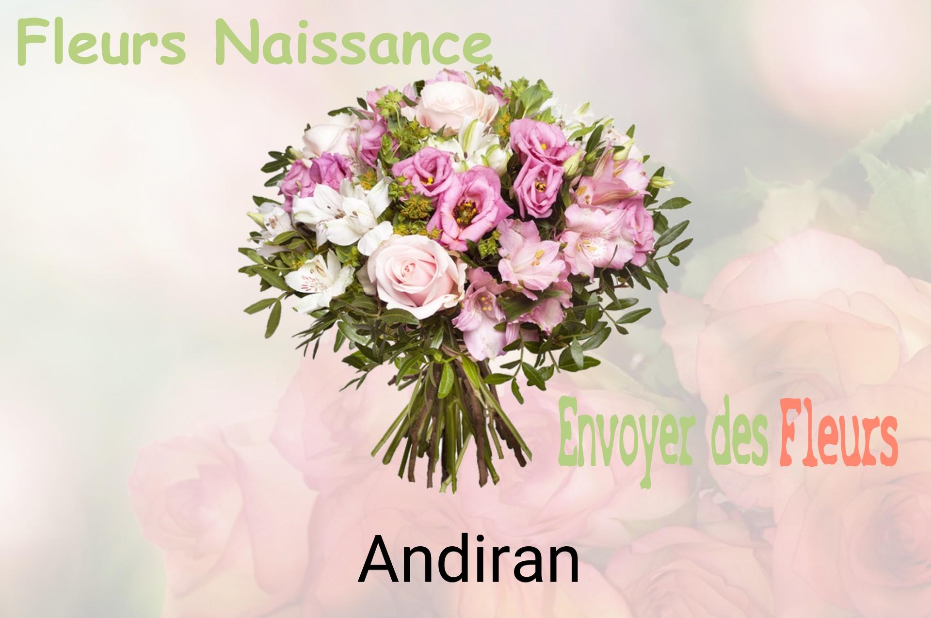 Bouquet de fleurs de naissance livré à Andiran